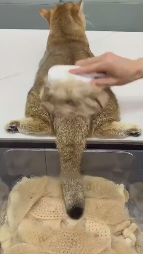 Spazzola a Vapore 3‑in‑1 per Animali